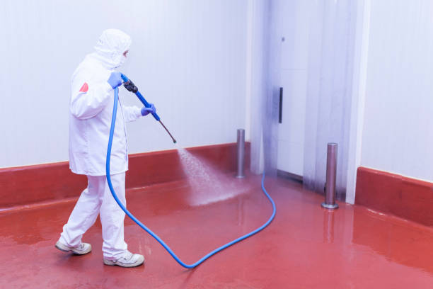Best Concrete Sealing  in Holstein, IA