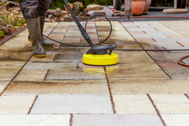 Animal Enclosure Cleaning in Holstein, IA