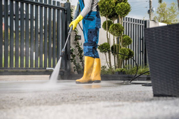 Best Sidewalk and Walkway Cleaning  in Holstein, IA